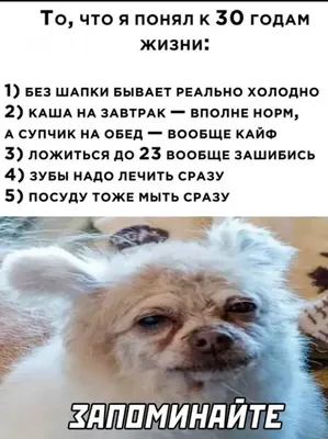 Объявили участников конкурса за самые смешные фото животных со всего мира —  Yakutia-daily.ru