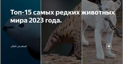 Самые редкие животные мира - РИА Новости, 04.10.2016