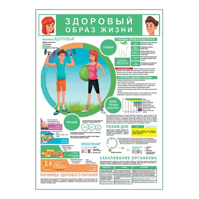 Санбюллетень медицинские плакаты от производителя с доставкой по РФ