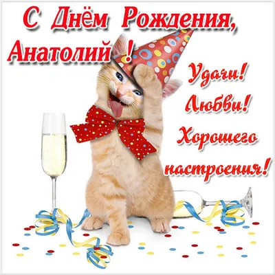 поздравление на день рождения приколы александру｜Поиск в TikTok