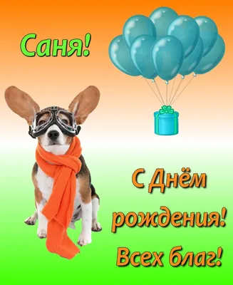 для настроение#с днём рождения#сань#счастье#тебе#🤣🤣🤣🤣🤣🤣 @lebsan_... |  TikTok