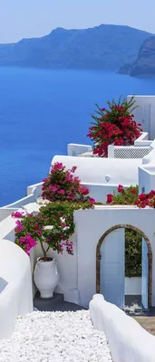 Самоклеящиеся фотообои \"Остров Санторини, Греция\", размер: 90x210 см -  купить по выгодной цене в интернет-магазине OZON (270914863)