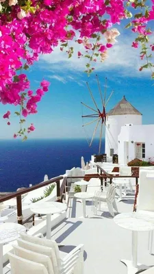 Santorini | Travel picture ideas, Greece travel, Travel pictures