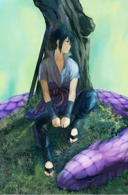 Uchiha Sasuke, snake, tree, sleeping; Naruto | Naruto shippuden anime,  Sasuke uchiha, Anime naruto