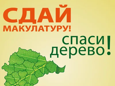 Акция по сбору макулатуры пройдет в гимназии Подольска 12 октября -  Общество - РИАМО в Подольске