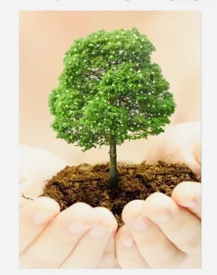 Эко-марафон ПЕРЕРАБОТКА «Сдай макулатуру – спаси дерево!» - Департамент  гражданской защиты, охраны окружающей