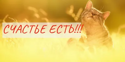 Постер (плакат) Motivation | Счастье есть! – Ленбагет