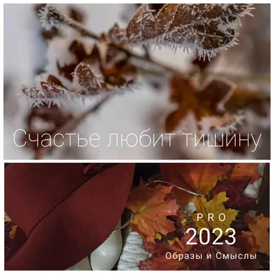Счастье любит тишину? | MogilevNews | Новости Могилева и Могилевской области