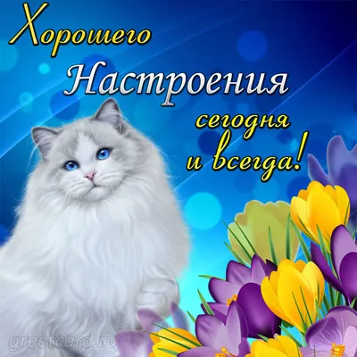 Good morning.... - Good morning. Доброе утро.Счастья Вам