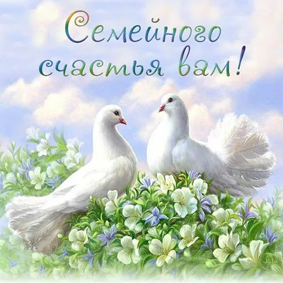 Счастья вам