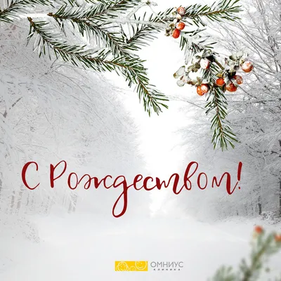 🌟🌲 Счастливого Рождества! | Поздравления, пожелания, открытки | ВКонтакте