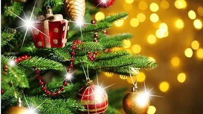 Счастливого Рождества и Нового 2023 Года - MedPol