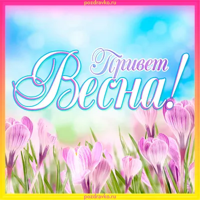 Композиция из 301 тюльпана Счастливая весна, Москва