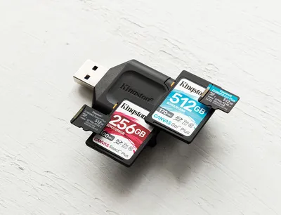 Digital SD Card Breakdown | ProGrade Digital