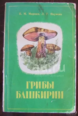 Как отличить ядовитый гриб от съедобного: как выглядит поганка, галерина,  можно ли собирать коровники сентябрь-октябрь 2022 года - 20 сентября 2022 -  71.ru