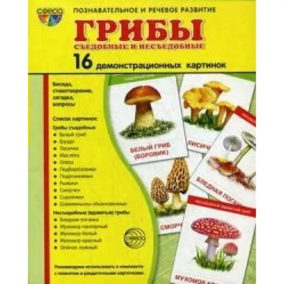 Самые распространенные съедобные грибы Проспект 15694466 купить за 198 ₽ в  интернет-магазине Wildberries