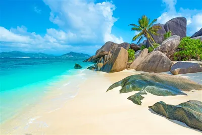 Отдых на Сейшельских Островах. Все что нужно знать о Сейшельских Островах:  климат, курорты, кухня, виза