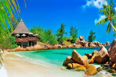 Фотообои \"Пляж на острове Праслин. Сейшельские острова\" - Арт. 140102 |  Купить в интернет-магазине Уютная стена