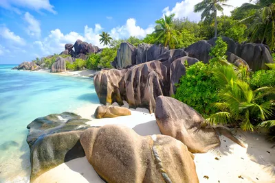 Всё о Сейшельских островах: что посмотреть, куда сходить, как добраться.