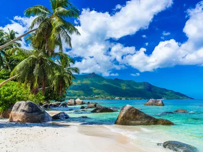 Когда лучше ехать на Сейшелы? ☀️ Лучший сезон для отдыха на Сейшелах 2024