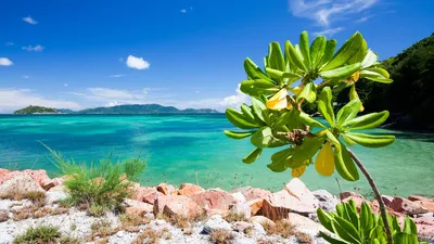 Добро пожаловать на Сейшелы! 🧭 цена экскурсии €300, 82 отзыва, расписание  экскурсий в Маэ