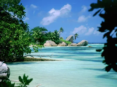 Тропический рай или отдых на Сейшельских островах | GQ Россия