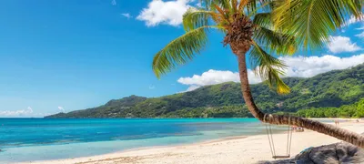 Туры на Сейшелы в 2024 году – купить путевки по выгодным ценам на сайте  Coral Travel