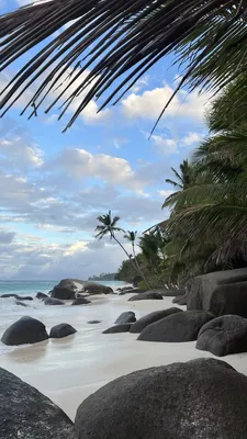 Просто и коротко: Сейшелы🌴Отдых со скидками до 35% Отдых на Сейшельских  островах по специальным ценам и с максимальной выгодой – скидки… | Instagram