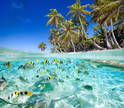 Лучшие пляжи Сейшельских островов 2023 ☀️ Фото, описание, туры
