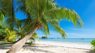 Курорты Сейшельских островов - отдых, туры, бронирование отелей