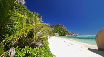 Манящие Сейшелы: все, что вы хотели знать об отдыхе на островах / Блог  Chip.Travel