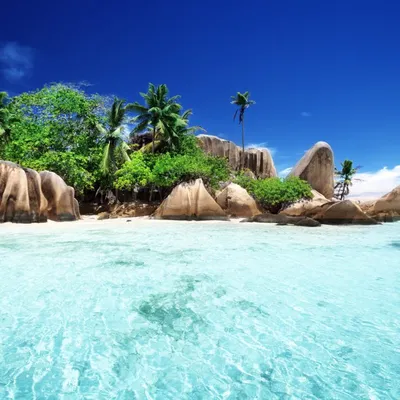 Картинки сейшелы, сейшельские острова, природа, океан, скалы, камни, вода,  джунгли, пальмы, пляж, небо, облака - обои 1366x768, картинка №94481