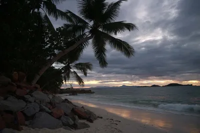 Фото и видео Сейшельских островов в галерее tripmydream