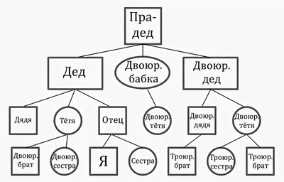 Заказать генеалогическое древо семьи - Портреты и шаржи на заказ в  Челябинске