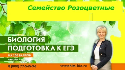 Семейство Розоцветные .Теория и практика ЕГЭ/ОГЭ. Биология - YouTube