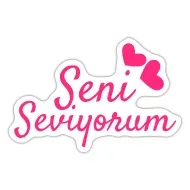 Handwritten calligraphy phrase in Turkish Seni Seviyorum Vector  illustration. Turkish translation: I love you Stock Vector | Adobe Stock