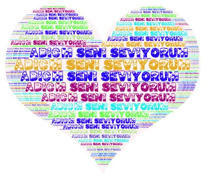 Pronunciation of Seni Seviyorum (I Love You) in Turkish (Pronunciation  Lesson 8) - YouTube