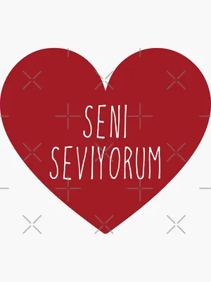 Seni seviyorum: Checkered notebook as a gift of love for Turks: Bowvell,  Catherine: 9798806431999: Amazon.com: Books