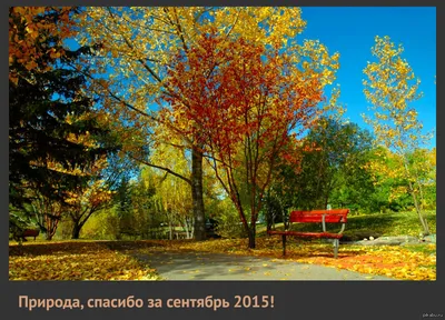 Природа Байкала | Сентябрь. Цвета осени