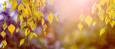 Осенний декор #казань #осень #сентябрь #бабьелето #макро #природа  #красотаспасетмир #фото #на #айфон #autumn #september #beatiful… | Instagram