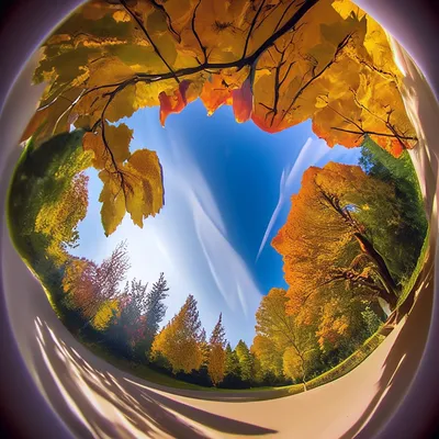 Сентябрь природа красивые (много фото) - treepics.ru