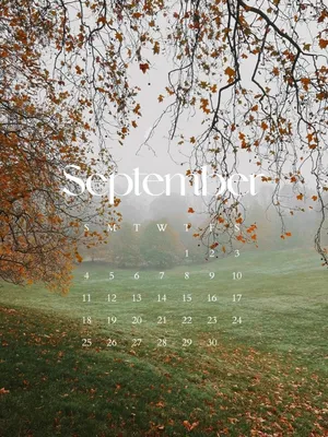 Природа в сентябре... :: марк – Социальная сеть ФотоКто