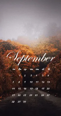 Заставка на телефон календарь сентябрь 2020 | Фоновые рисунки, Календарь,  Летние фотографии