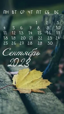 Фоновые рисунки - календарь Сентябрь 2023 (36 фото)