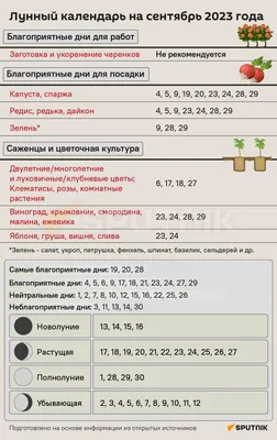 Обои-календарь на сентябрь 2023 — calendar12.ru