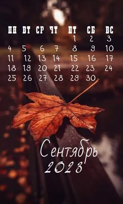 Китайский гороскоп на сентябрь 2023 года - 7Дней.ру