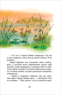 Серая Шейка и другие сказки — купить книги на русском языке в DomKnigi в  Европе