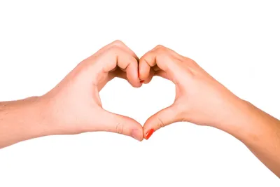 сердечки вектор руки логотип или иконка пальцы руки знак руки любовь  проявление любви заботы или поддержки Иллюстрация вектора - иллюстрации  насчитывающей шарж, сердце: 217883970
