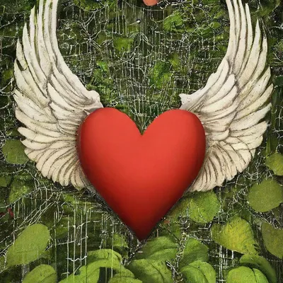 Раскраска сердце с крыльями - 48 фото
