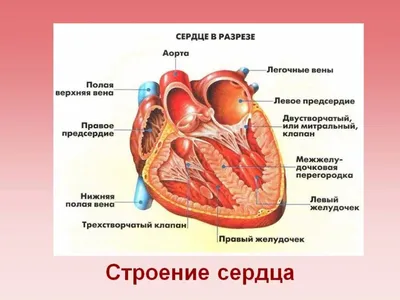 УЗ 26-я городская поликлиника г. Минска